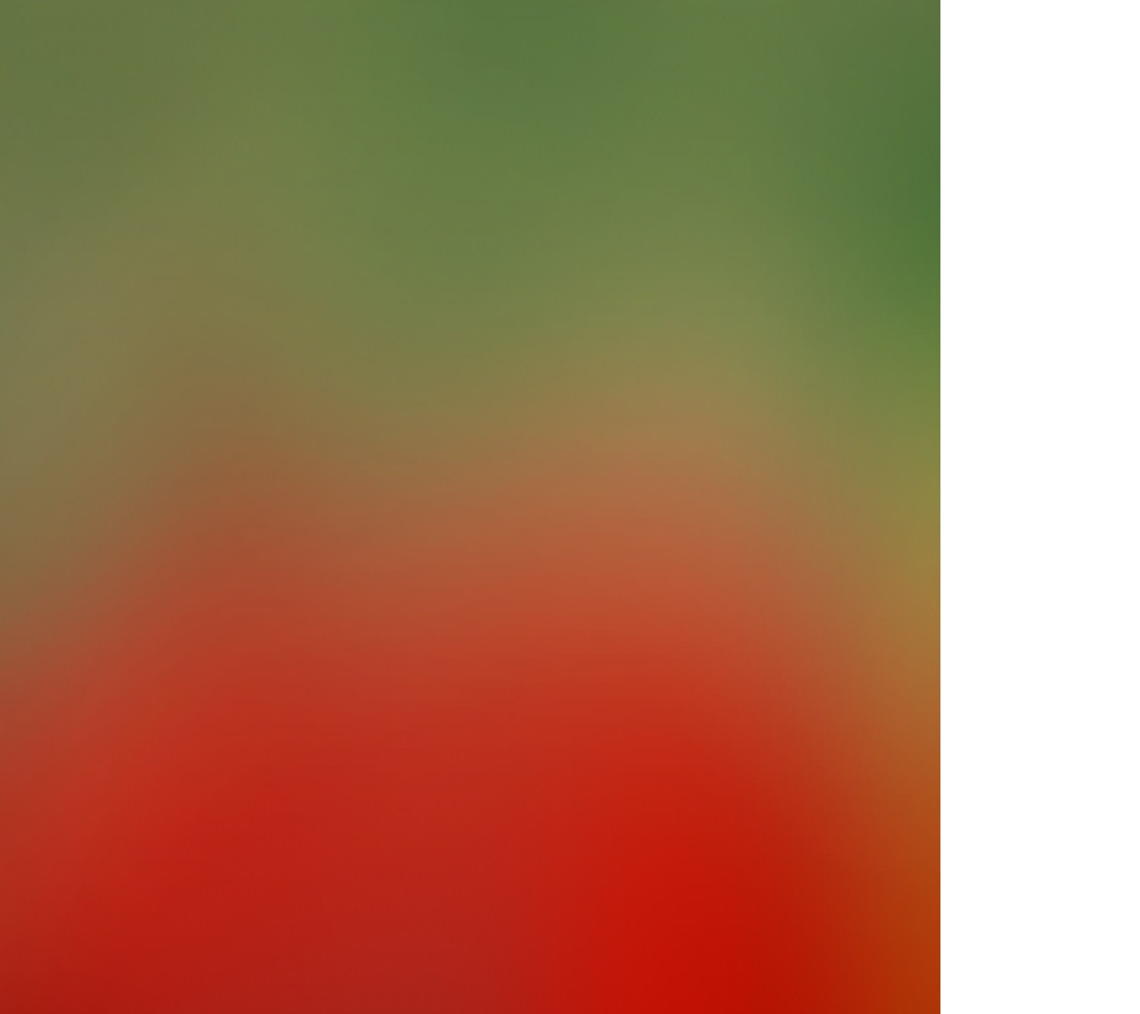 There is a red and green blurry background with a single bird (green, red)