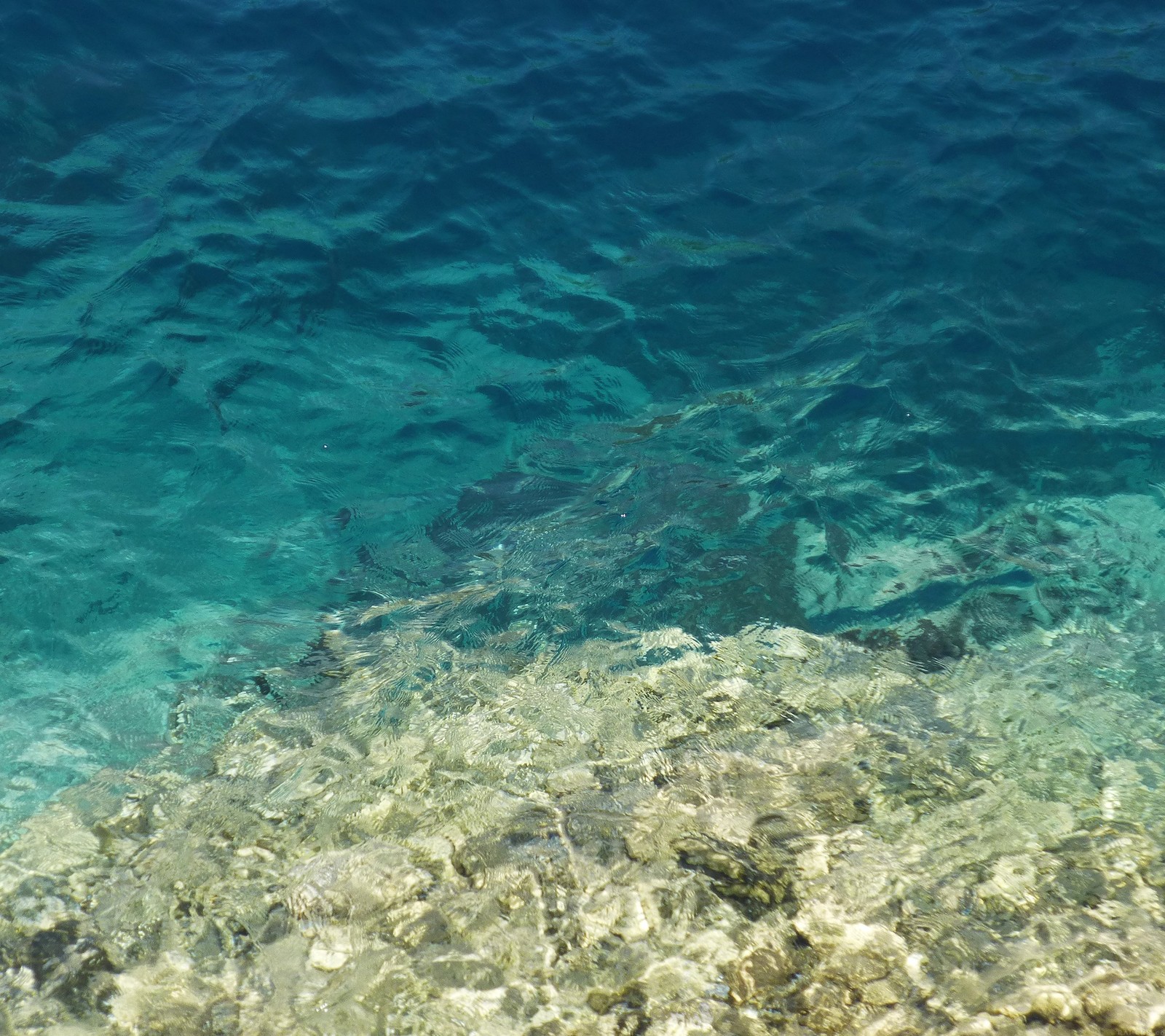 There is a large body of water with a lot of clear water (sea, summer wave, texture, water, zedgesummer)