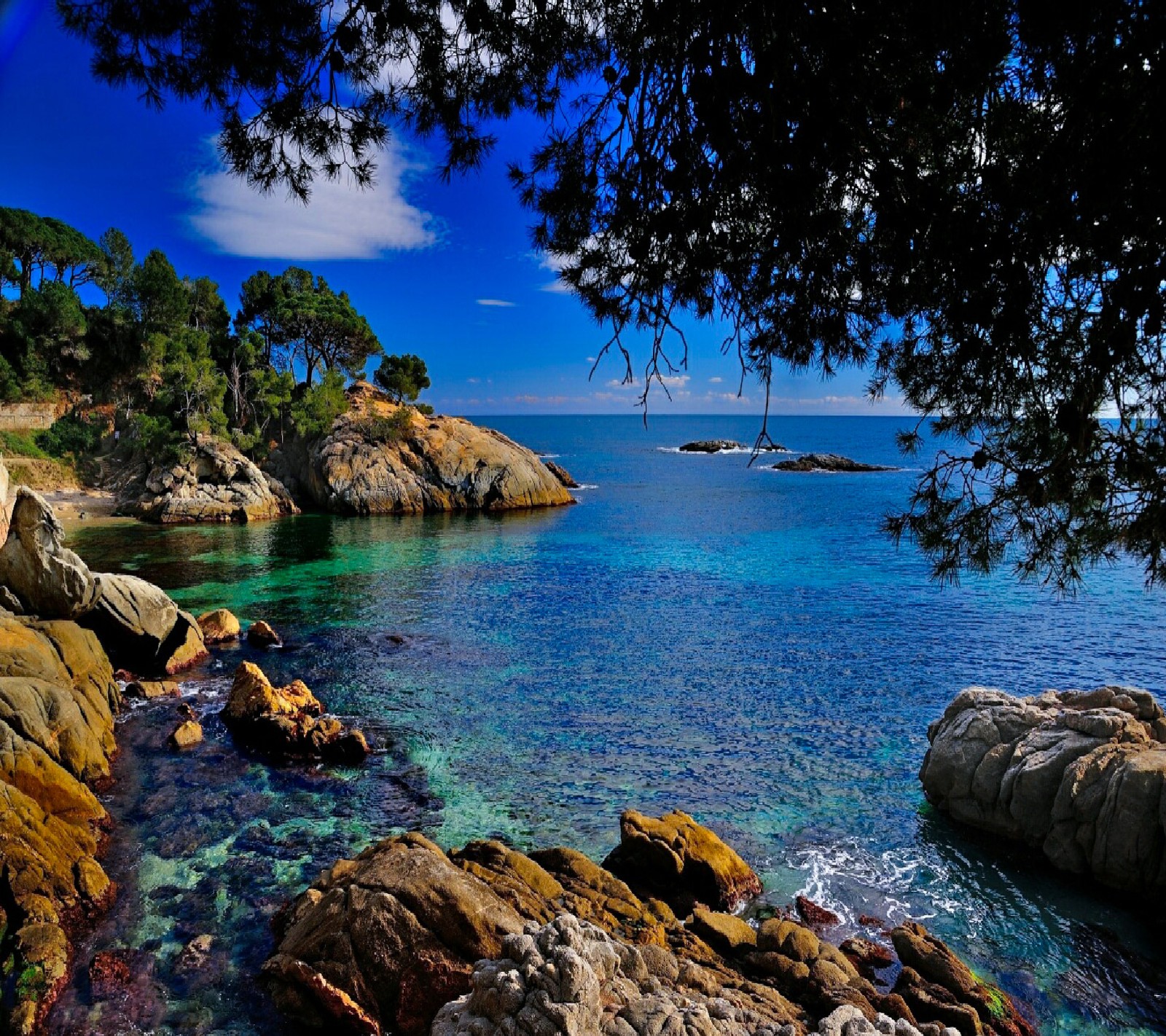 Una vista de una playa con rocas, agua y árboles (flores, jardín, naturaleza, agradable, fondos de pantalla)