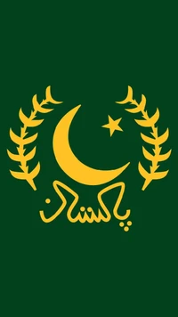 mazmorras, bandera, pakistán, quin, escuadrón