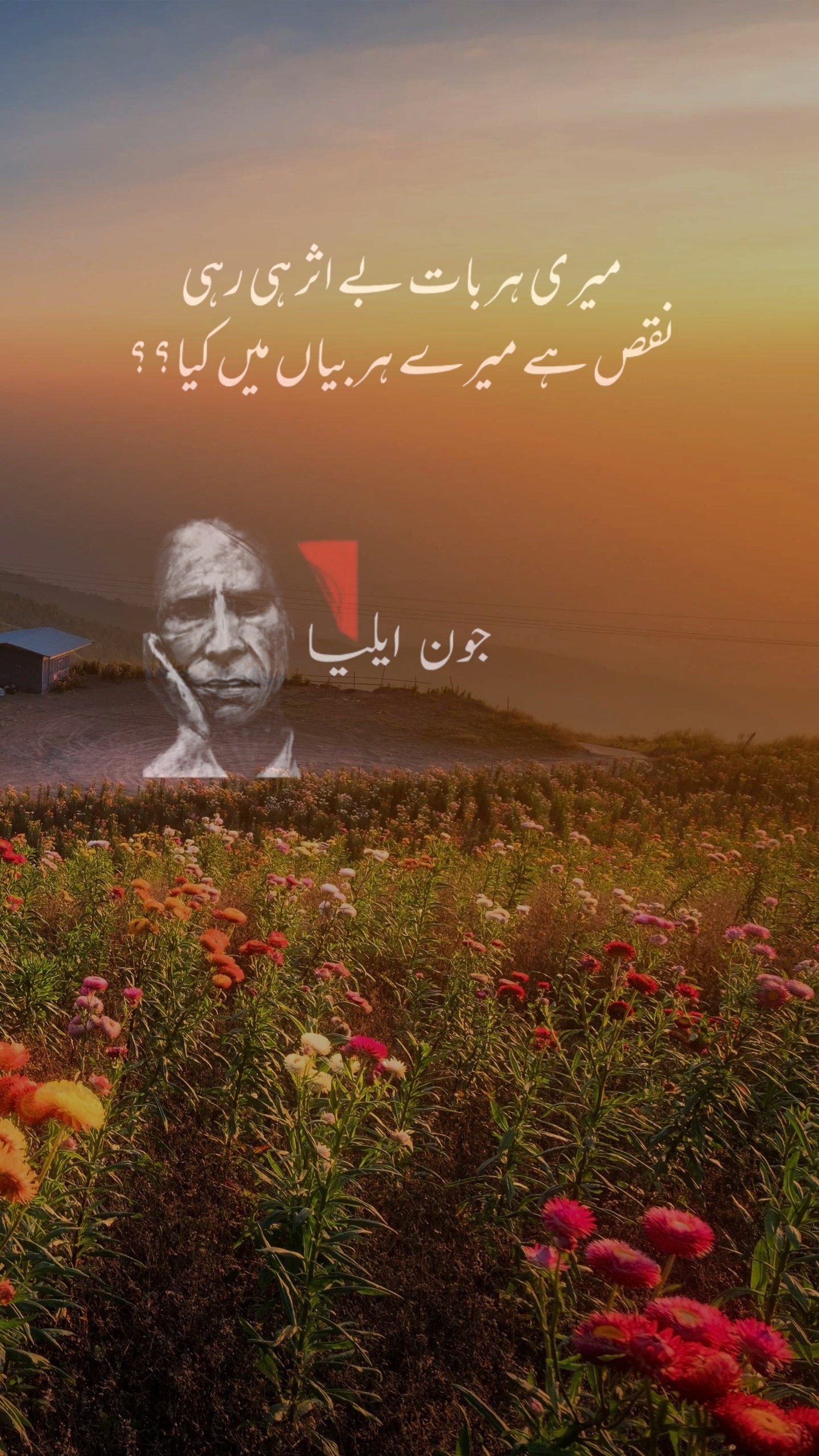 quotes, poetry, john, johnelia, elia Download Wallpaper