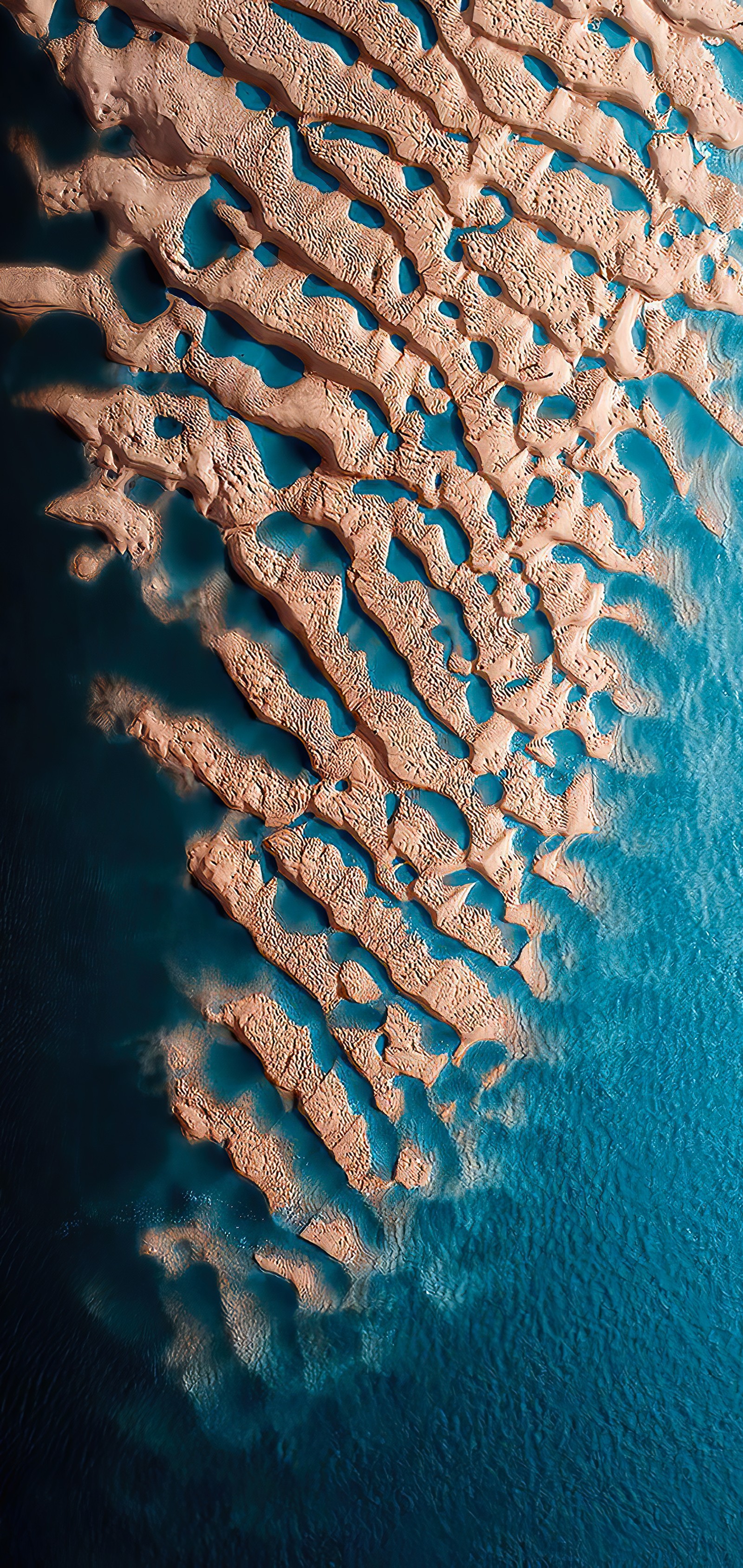 Fotografie eines sandigen gebiets mit einem blauen ozean (meeresbiologie, wasser, blau, azurblau, aqua)