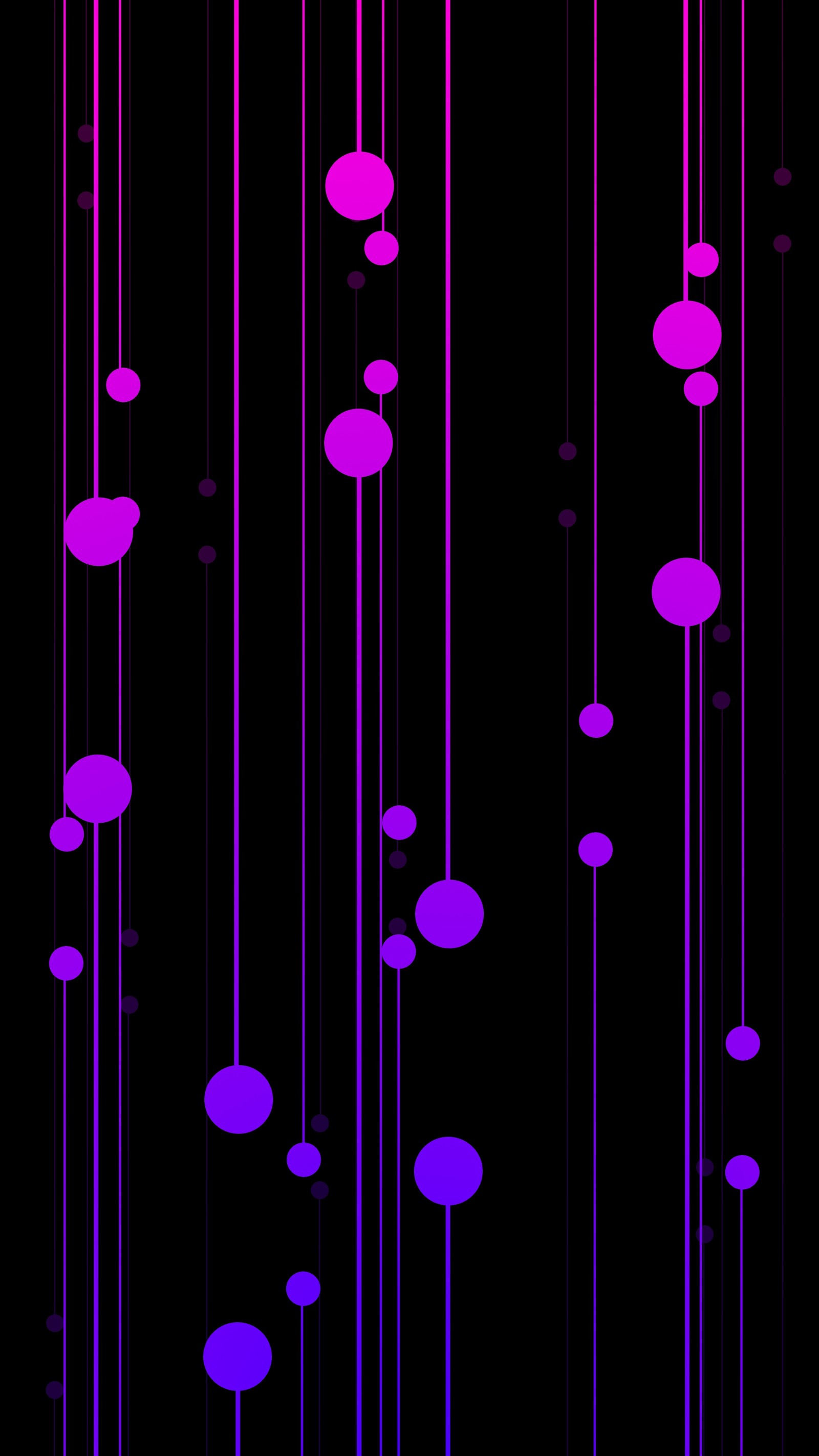 Círculos e linhas roxos e pretos estão dispostos em um padrão (abstração, violeta, rosa, roxo, magenta)