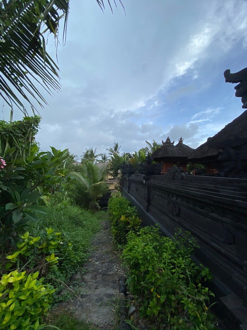 Путь ведет к храму с деревянным забором (бали, bali, растительность, сельская местность, плантация)