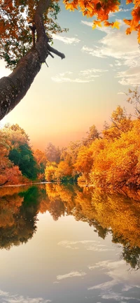 Autumn Serenity: Reflections of Golden Foliage by the River