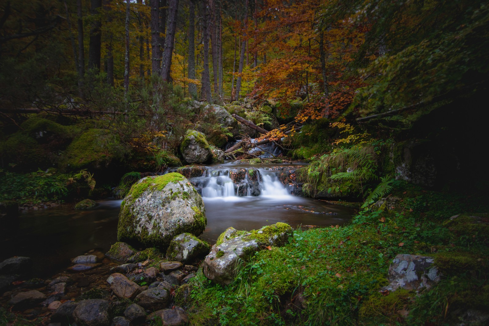 A small waterfall in the middle of a forest with moss and rocks (waterfall, autumn, foliage, forest, woods)