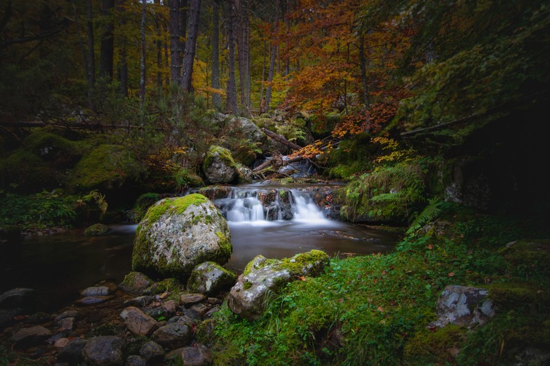 Маленький водопад посреди леса с мхом и камнями (водопад, осень, листва, лес, леса)