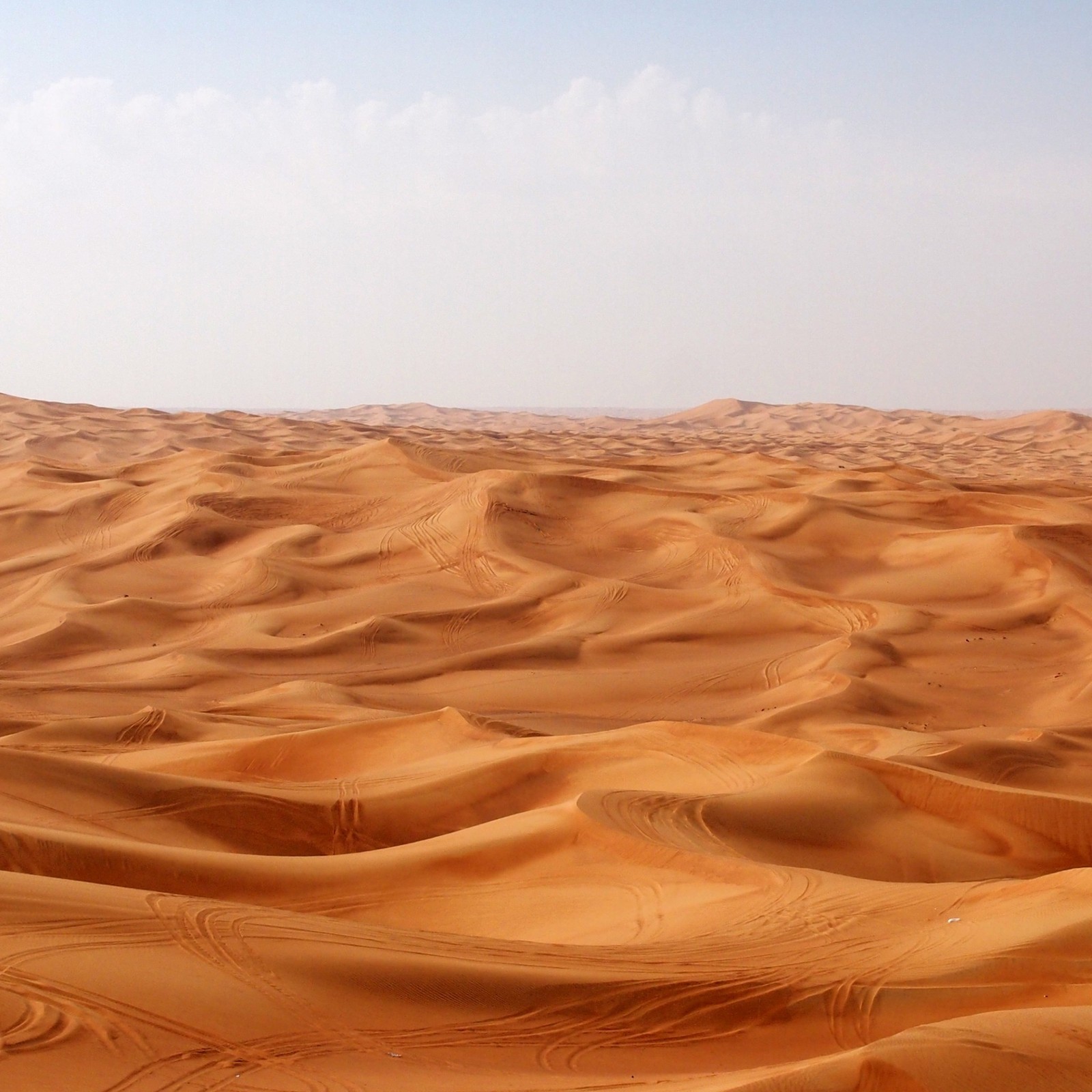 desert, sand, erg, aeolian landform, dune wallpaper