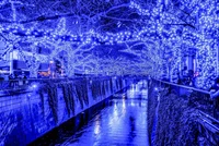 Tokyo's Illuminated Christmas Night: A Blue Wonderland of Reflections and LED Lights