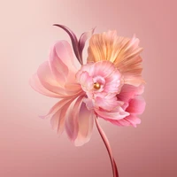 Elegant Pink Floral Design with Artistic Petals and Pearls