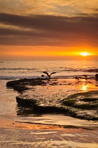 costa, céu, onda, natureza, por do sol