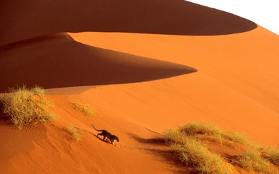 sossusvlei, dune, désert, sable, erg