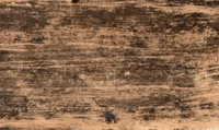 wood, plank, grass, soil, grasses wallpaper