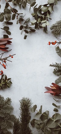 Winterästhetik: Immergrüne Zweige und Beeren vor einem frostigen Hintergrund