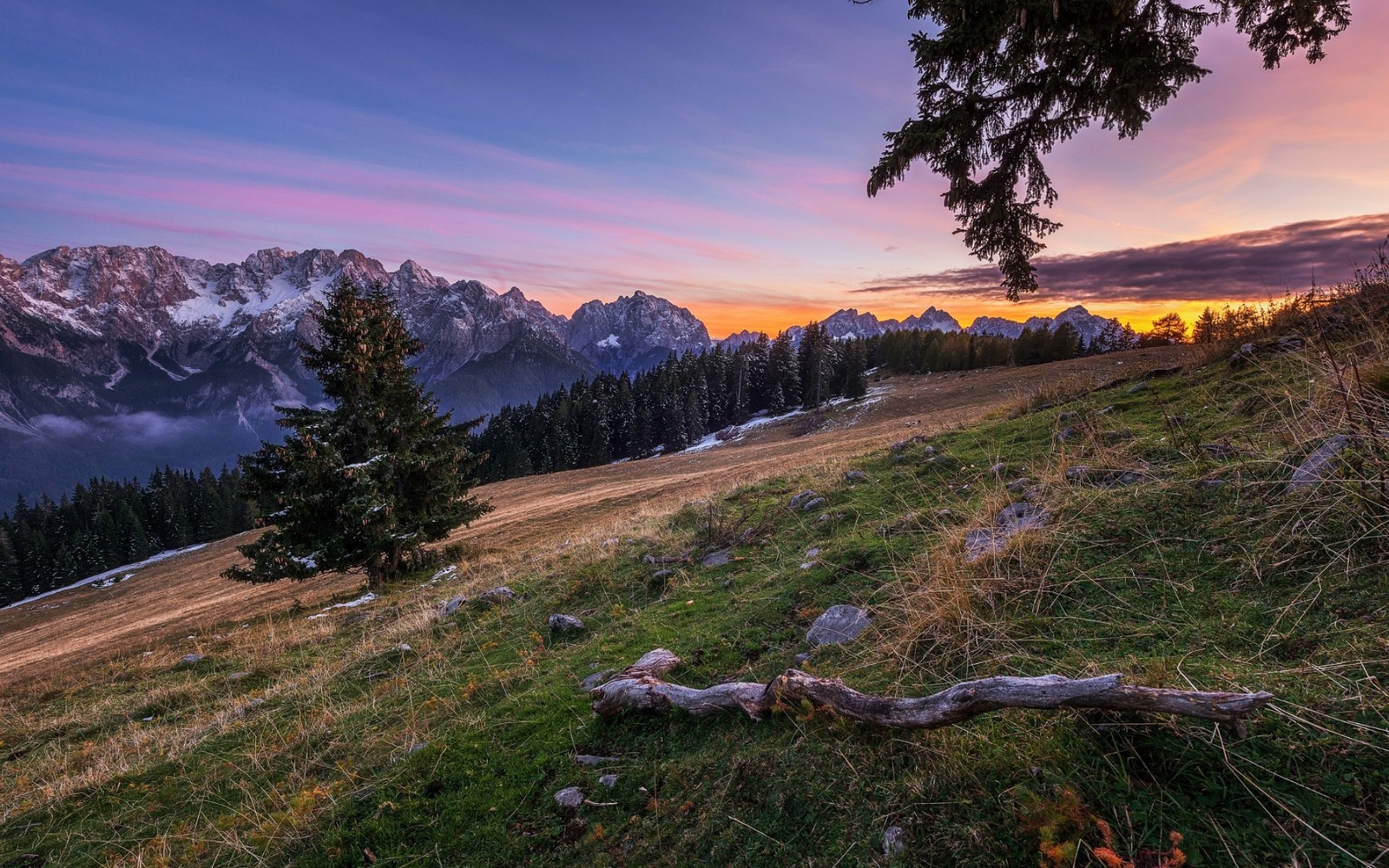 A view of a mountain range with a tree and a sunset (sunset, mountain, cloud, plant, natural landscape)