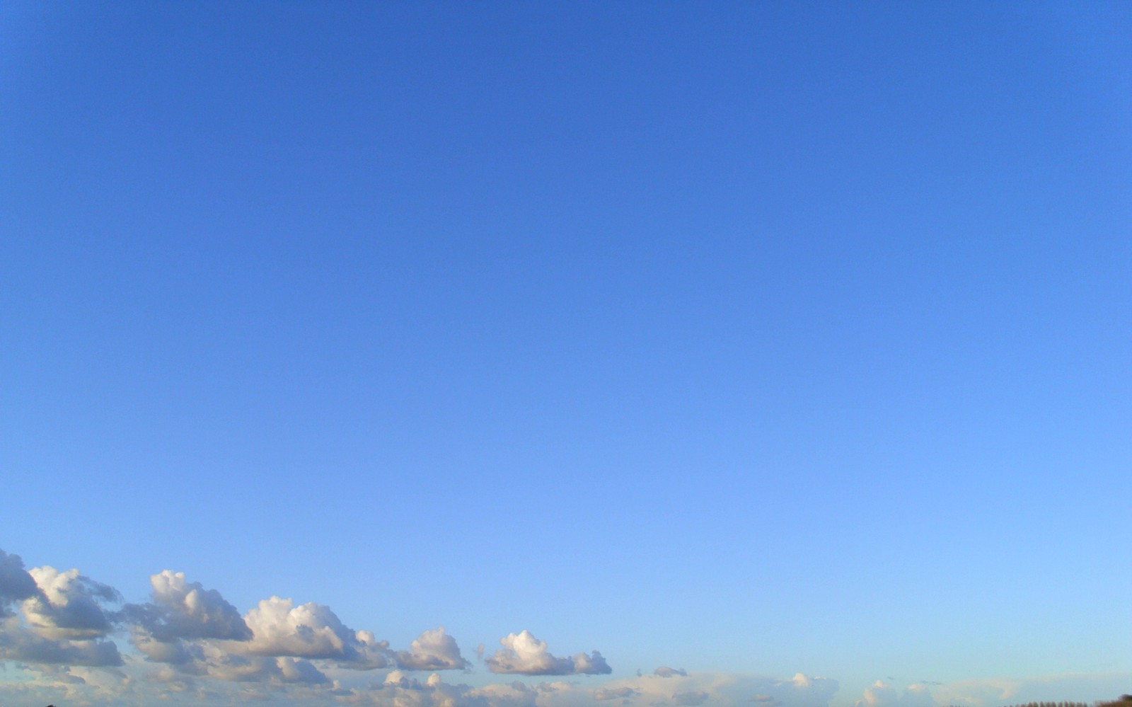 Un homme faisant voler un cerf-volant sur la plage par une journée ensoleillée (nuage, journée, bleu, atmosphère, horizon)