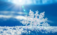 Radiant Snowflake Glimmering in Winter Light