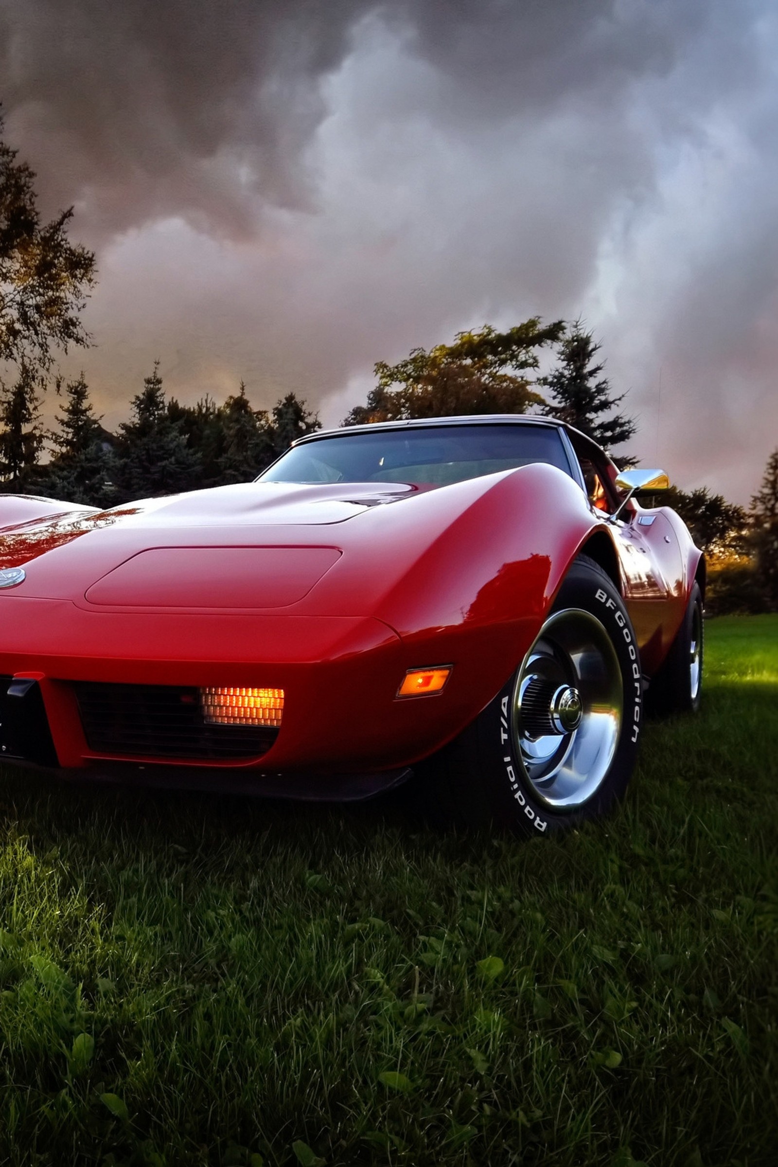 Il y a deux voitures de sport rouges garées dans un champ (voiture, muscle car)