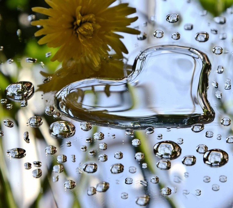 Arabescos de bolhas de água e uma flor amarela em um vaso (flor, coração, amor)