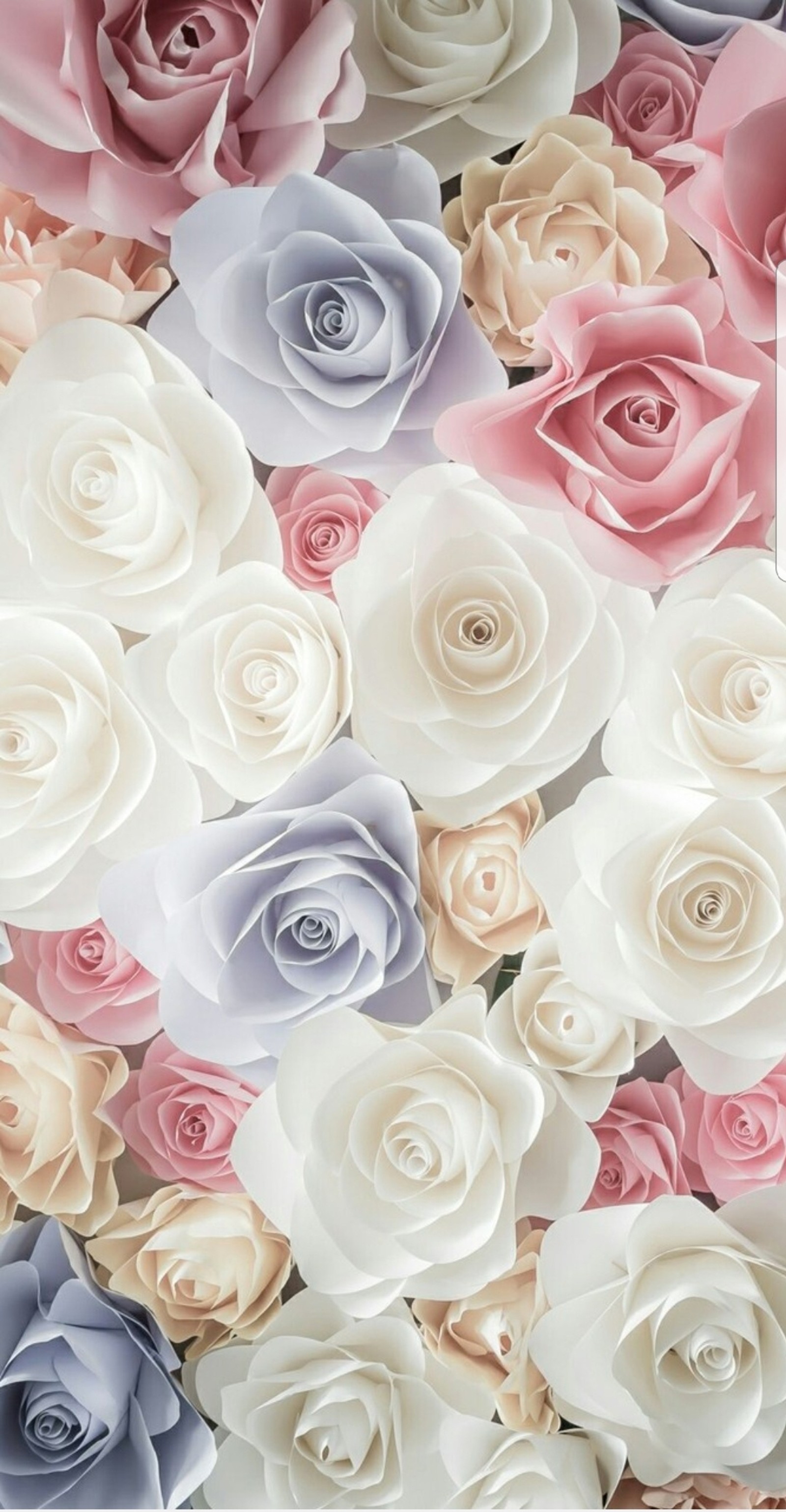 Há muitas flores de papel de cores diferentes arranjadas juntas (flores, rosa, rosas, vintage)