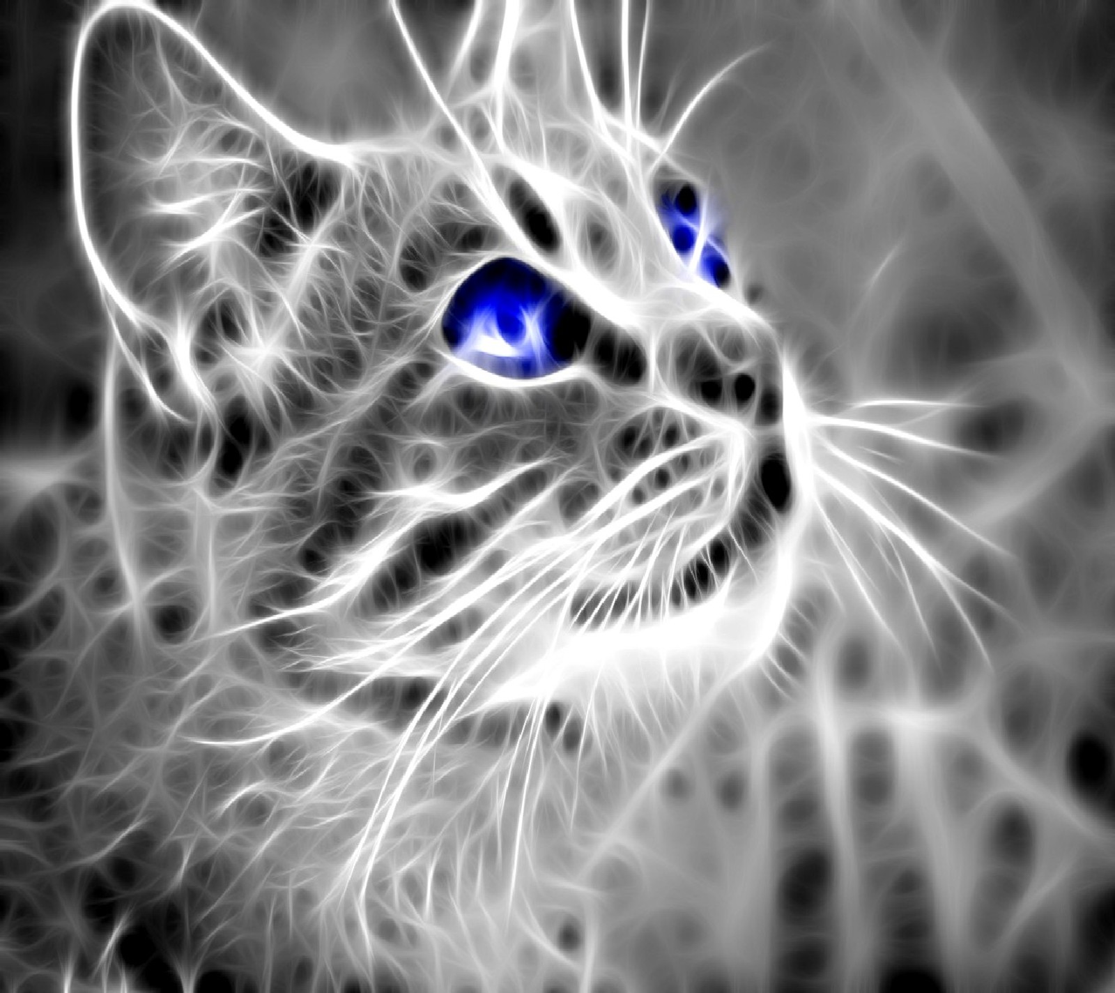 Gros plan d'un chat aux yeux bleus sur une photo en noir et blanc (chat)