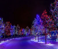 lights, nature, purple, road, trees