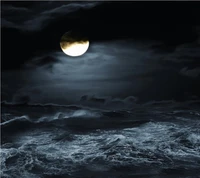 Moonlit Waves: A Romantic Night Landscape