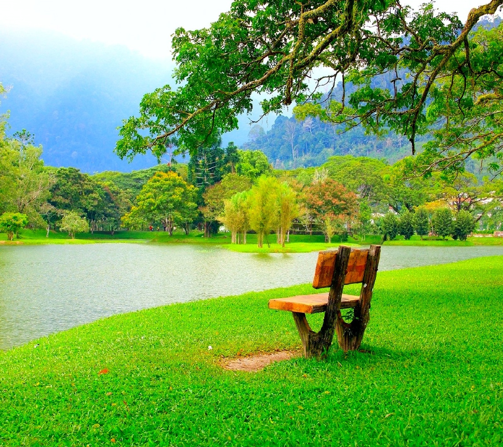 There is a wooden bench sitting in the grass by the water (nature)