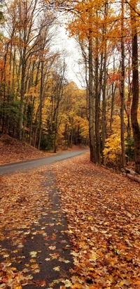 кадесков, cadescove, тн, tn