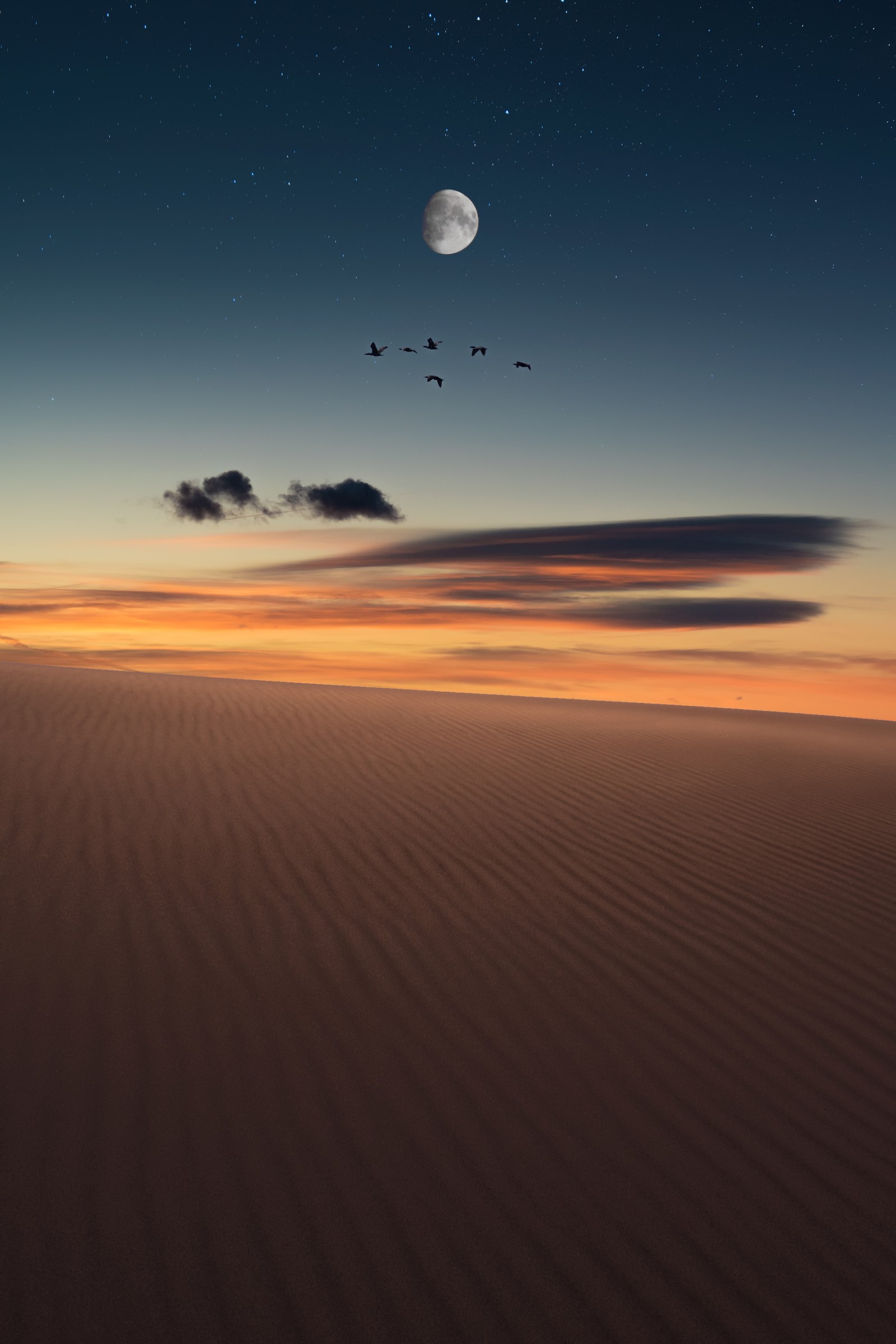 Des oiseaux volent dans le ciel au-dessus d'un désert (horizon, environnement naturel, nuage, sable, ciel)