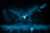 Majestic Owl in Moonlit Flight Through a Dark Forest