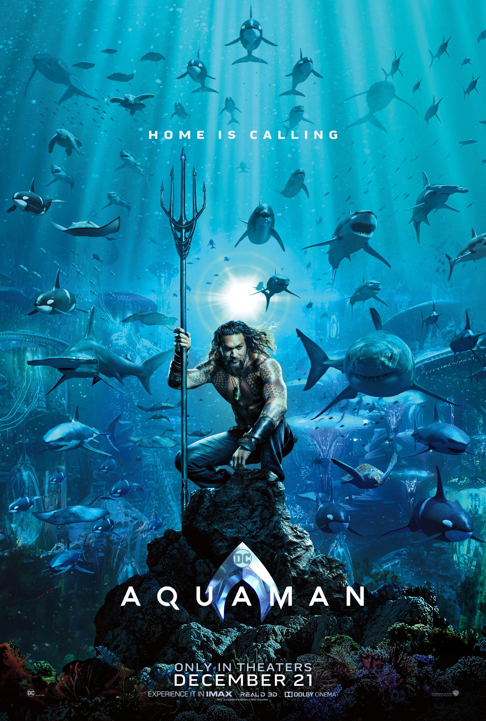 Póster de la película aquaman (aquaman, película)