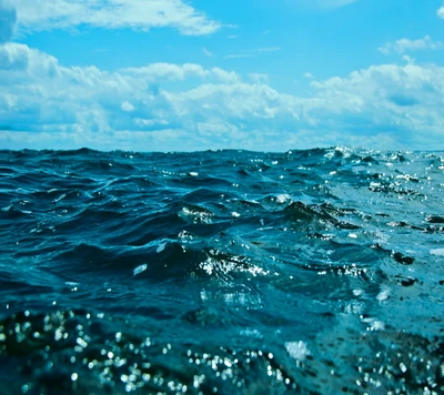 Vagues sereines sous un ciel vaste