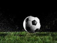 euro, football, grass, rain wallpaper