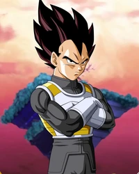 Vegeta in HD: A Fierce Stand Against Goku in Dragon Ball Super