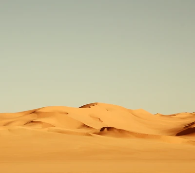 wüste, landschaft, sand