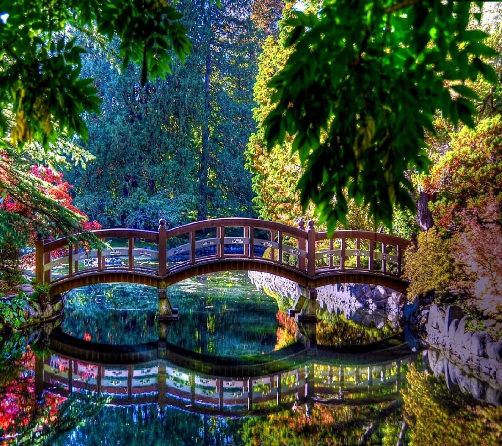 Arafed bridge over a small pond in a park with trees (nature)