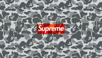 Supreme Military Camouflage Pattern Design