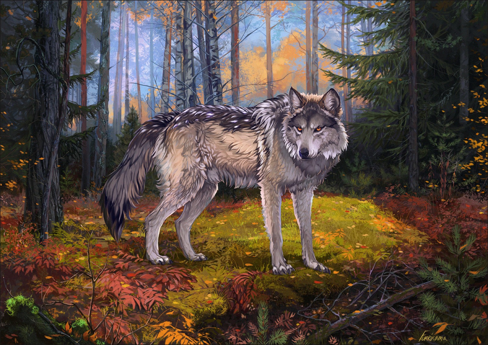 wolf, wildlife, canidae, saarloos wolfdog, wolfdog wallpaper