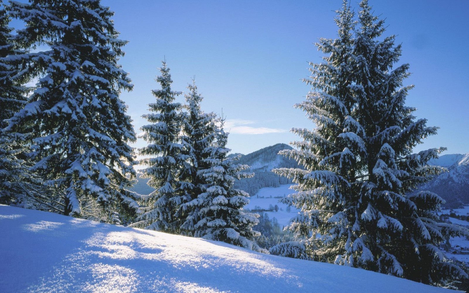 A view of a snowy mountain with trees and a blue sky (snow, winter, tree, nature, sky)