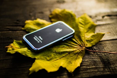 Smartphone on a Yellow Leaf: Nature Meets Technology