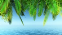 Lush Palm Fronds Over Tranquil Azure Waters