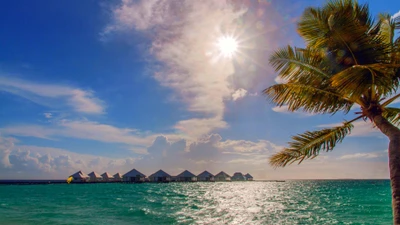 Paraíso tropical: Palmeiras iluminadas pelo sol com vista para o oceano azul e vilas à beira-mar nas Maldivas.