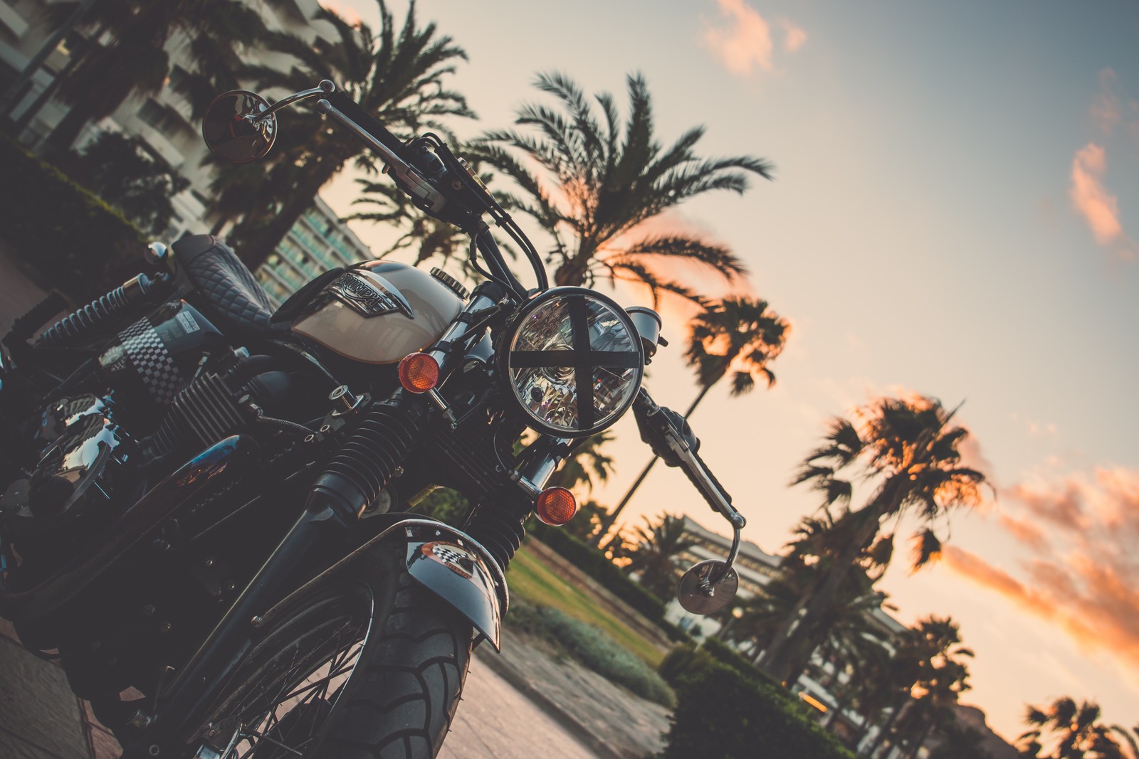 Moto aparcada al lado de la carretera con palmeras al fondo (motocicleta, palmeras, bicicleta, árbol, árbol de palma)