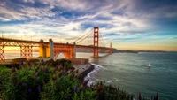 Puente Golden Gate al atardecer con flores costeras y aguas serenas