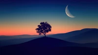 sunset, dusk, crescent, moon, tree wallpaper