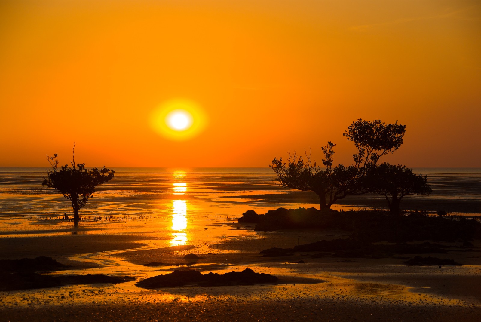 Téléchargez le fond d'écran parc national, parc, coucher de soleil, horizon, lever de soleil