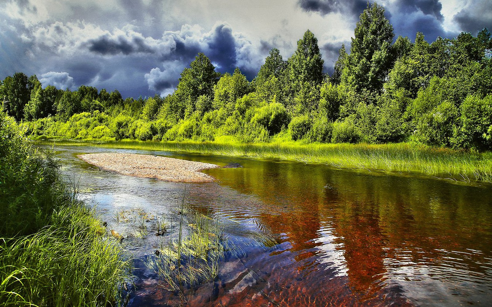 Une vue d'une rivière avec une forêt en arrière-plan. (réflexion, nature, plan deau, eau, flueve)