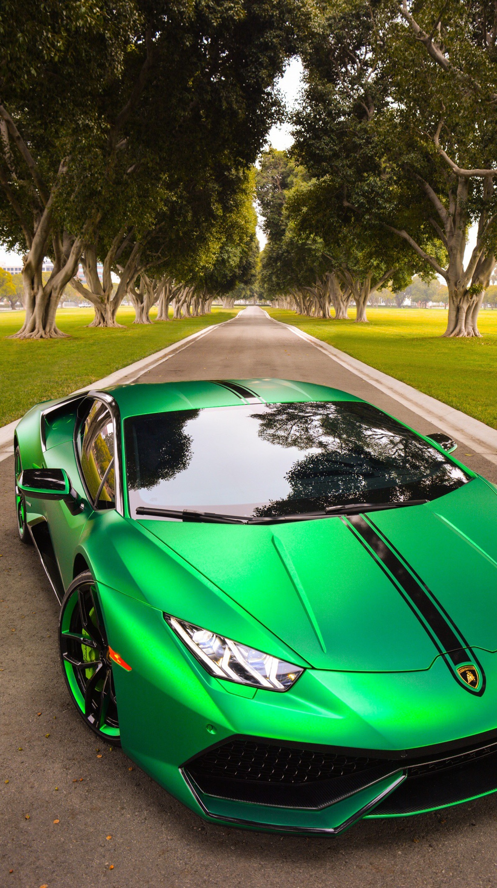 A close up of a green sports car parked on a road (car, green, lamborghini)