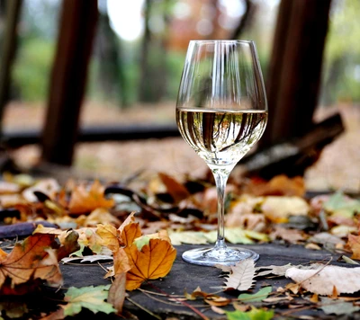 Sérénité Automnale : Un Verre de Vin Parmi les Feuilles Tombées